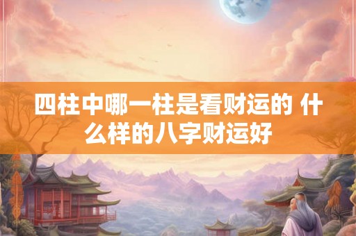四柱中哪一柱是看财运的 什么样的八字财运好