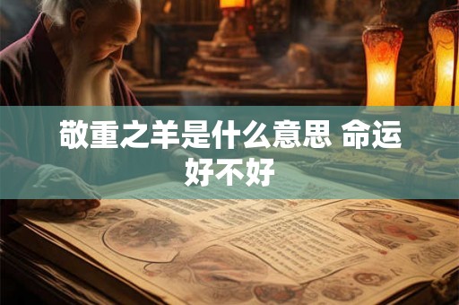 敬重之羊是什么意思 命运好不好
