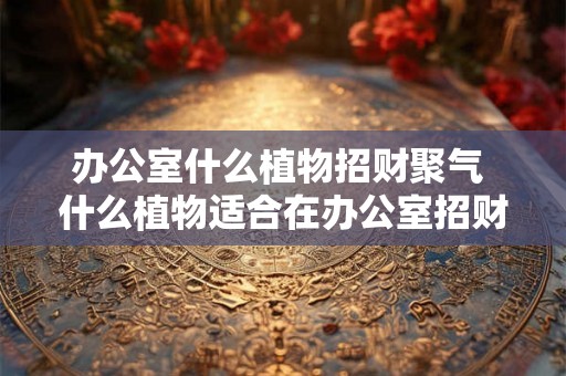 办公室什么植物招财聚气 什么植物适合在办公室招财聚气 办公室什么植物招财聚气 什么植物适合在办公室招财聚气