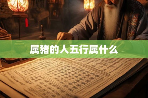 属猪的人五行属什么