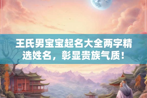王氏男宝宝起名大全两字精选姓名，彰显贵族气质！