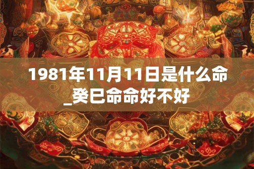 1981年11月11日是什么命_癸巳命命好不好