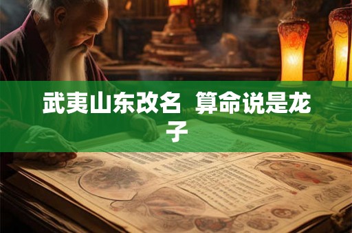 武夷山东改名  算命说是龙子