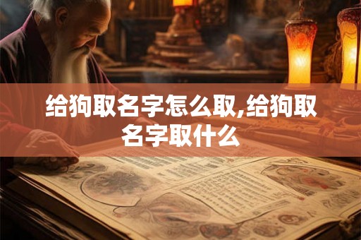 给狗取名字怎么取,给狗取名字取什么