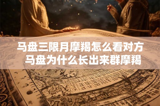 马盘三限月摩羯怎么看对方  马盘为什么长出来群摩羯