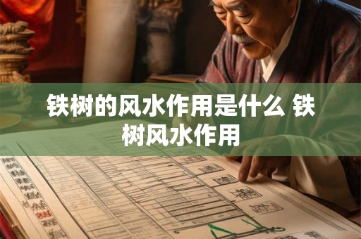 铁树的风水作用是什么 铁树风水作用