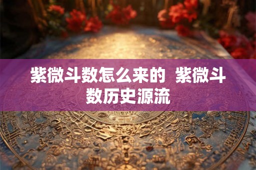 紫微斗数怎么来的  紫微斗数历史源流