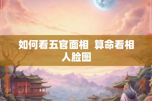 如何看五官面相  算命看相人脸图