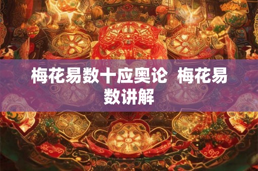 梅花易数十应奥论  梅花易数讲解