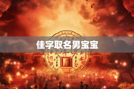 佳字取名男宝宝