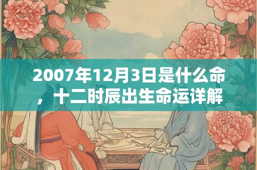 2007年12月3日是什么命,十二时辰出生命运详解 2007年12月3日是什么命,十二时辰出生命运详解