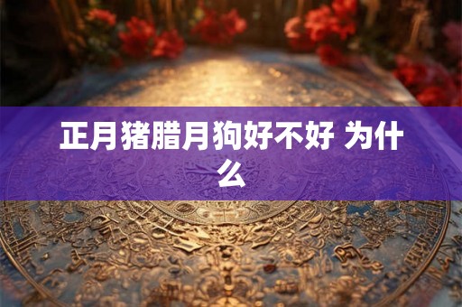 正月猪腊月狗好不好 为什么 正月猪腊月狗好不好 为什么