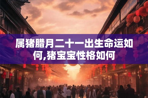 属猪腊月二十一出生命运如何,猪宝宝性格如何