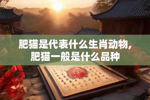 肥猫是代表什么生肖动物,肥猫一般是什么品种