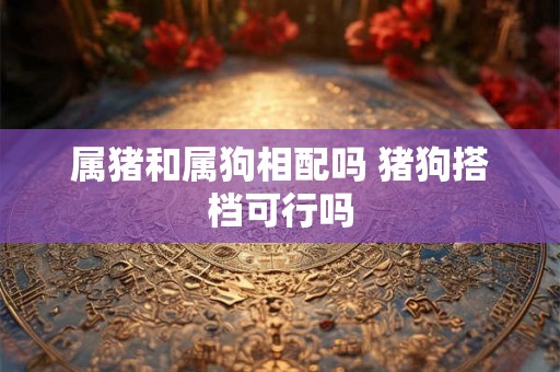 属猪和属狗相配吗 猪狗搭档可行吗 属猪和属狗相配吗 猪狗搭档可行吗