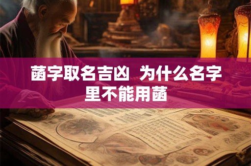 菡字取名吉凶  为什么名字里不能用菡