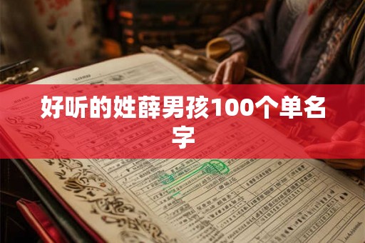 好听的姓薛男孩100个单名字
