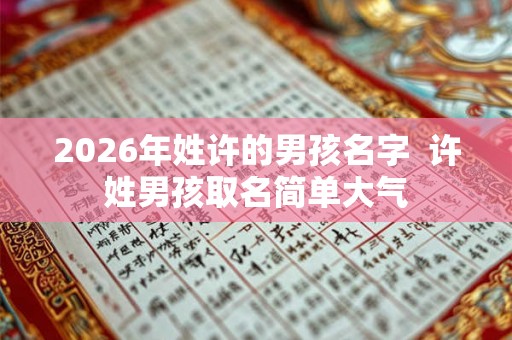 2026年姓许的男孩名字 许姓男孩取名简单大气 2026年姓许的男孩名字 许姓男孩取名简单大气