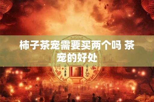 柿子茶宠需要买两个吗 茶宠的好处 柿子茶宠需要买两个吗 茶宠的好处