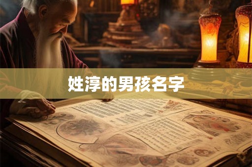 姓淳的男孩名字