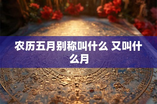 农历五月别称叫什么 又叫什么月