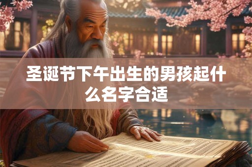 圣诞节下午出生的男孩起什么名字合适