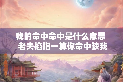 我的命中命中是什么意思  老夫掐指一算你命中缺我