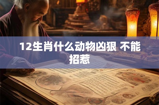 12生肖什么动物凶狠 不能招惹