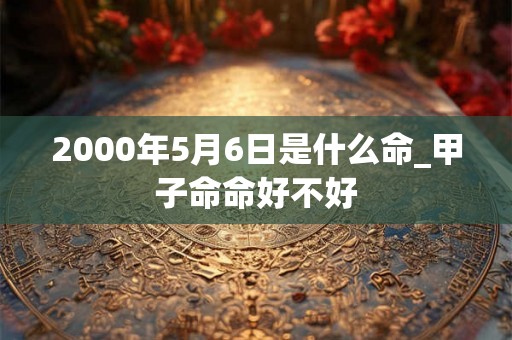 2000年5月6日是什么命_甲子命命好不好 2000年5月6日是什么命_甲子命命好不好