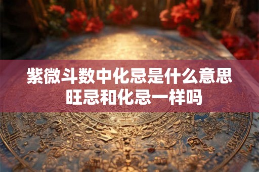 紫微斗数中化忌是什么意思  旺忌和化忌一样吗
