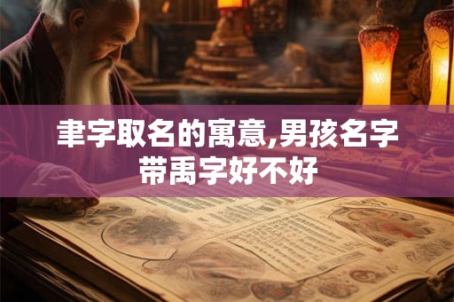 聿字取名的寓意,男孩名字带禹字好不好