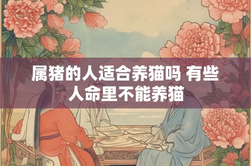 属猪的人适合养猫吗 有些人命里不能养猫 属猪的人适合养猫吗 有些人命里不能养猫