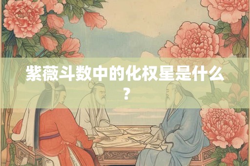 紫薇斗数中的化权星是什么？