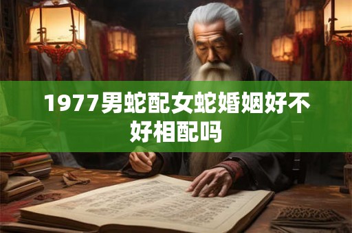 1977男蛇配女蛇婚姻好不好相配吗