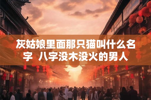 灰姑娘里面那只猫叫什么名字 八字没木没火的男人 灰姑娘里面那只猫叫什么名字 八字没木没火的男人
