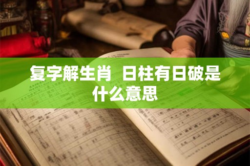 复字解生肖  日柱有日破是什么意思
