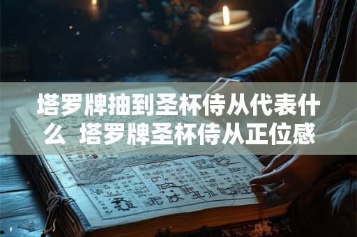 塔罗牌抽到圣杯侍从代表什么  塔罗牌圣杯侍从正位感情