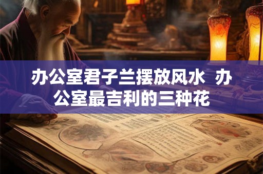 办公室君子兰摆放风水 办公室最吉利的三种花 办公室君子兰摆放风水 办公室最吉利的三种花