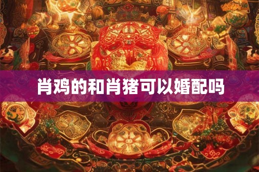 肖鸡的和肖猪可以婚配吗