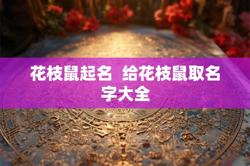 花枝鼠起名 给花枝鼠取名字大全 花枝鼠起名 给花枝鼠取名字大全