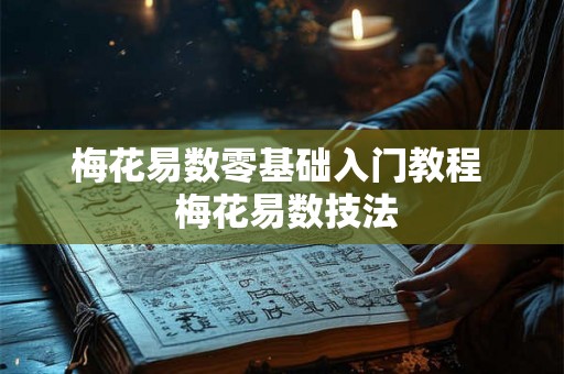梅花易数零基础入门教程  梅花易数技法