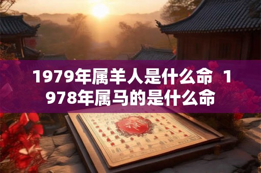 1979年属羊人是什么命  1978年属马的是什么命