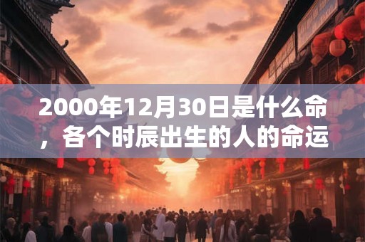 2000年12月30日是什么命，各个时辰出生的人的命运