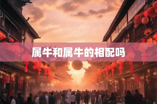 属牛和属牛的相配吗