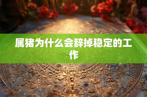 属猪为什么会辞掉稳定的工作