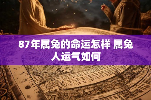 87年属兔的命运怎样 属兔人运气如何