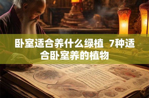 卧室适合养什么绿植  7种适合卧室养的植物