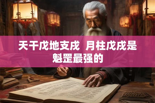 天干戊地支戌  月柱戊戌是魁罡最强的