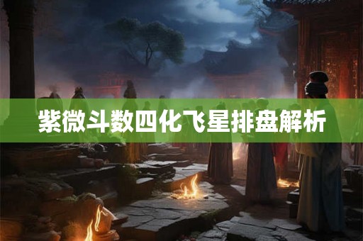 紫微斗数四化飞星排盘解析