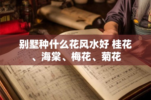 别墅种什么花风水好 桂花、海棠、梅花、菊花